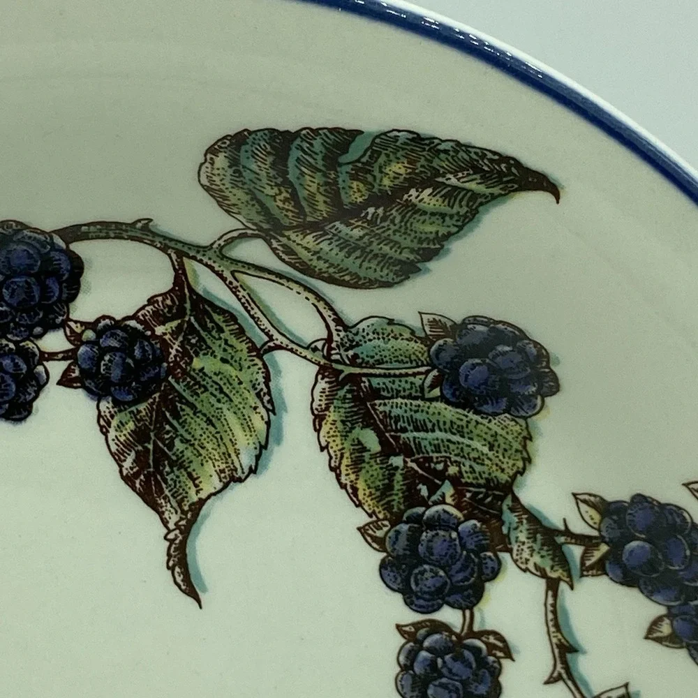 Pier 1 Macintosh Salad Plates Set Of 2  8